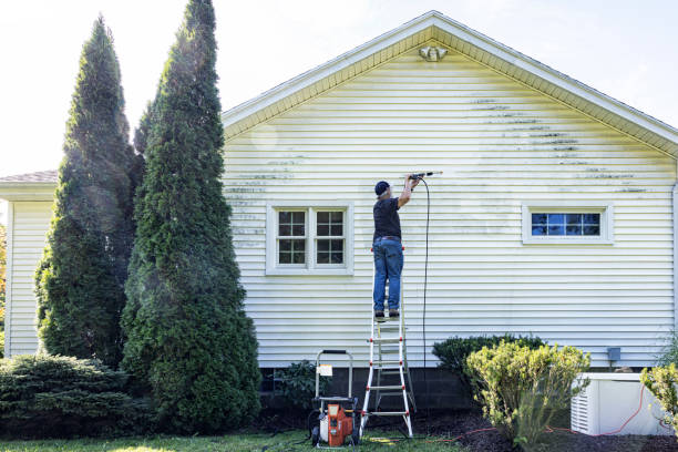 Best Graffiti Removal  in Gaylord, MI